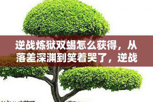 逆战炼狱双蝎怎么获得，从落差深渊到笑着哭了，逆战炼狱双蝎背后的真相与自我救赎