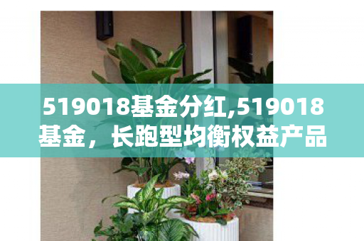 519018基金分红,519018基金，长跑型均衡权益产品的配置思路解析