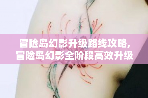 冒险岛幻影升级路线攻略,冒险岛幻影全阶段高效升级路线指南