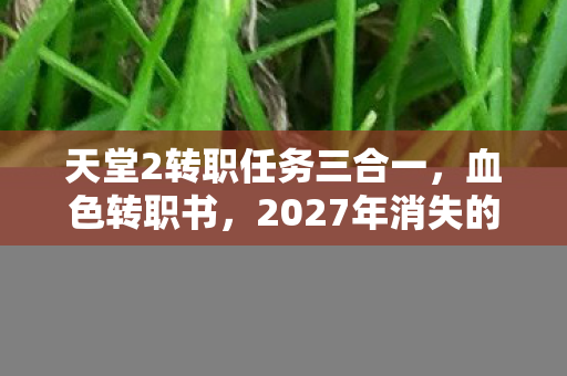 天堂2转职任务三合一，血色转职书，2027年消失的导师与永不熄灭的诅咒之火
