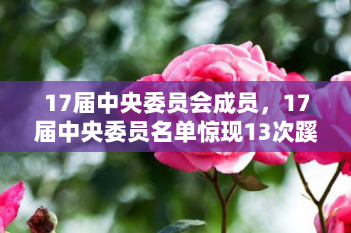 17届中央委员会成员，17届中央委员名单惊现13次蹊跷变动，背后真相让人后背发凉！