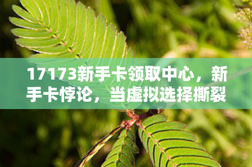 17173新手卡领取中心，新手卡悖论，当虚拟选择撕裂现实人生，谁在审判我的灵魂？