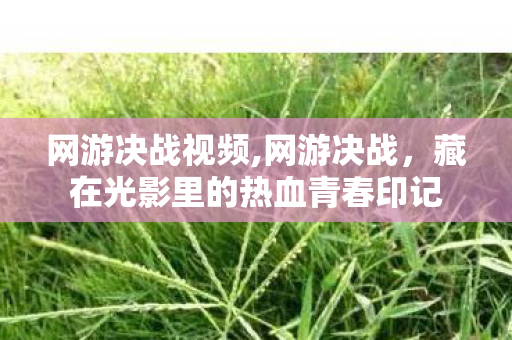 网游决战视频,网游决战，藏在光影里的热血青春印记
