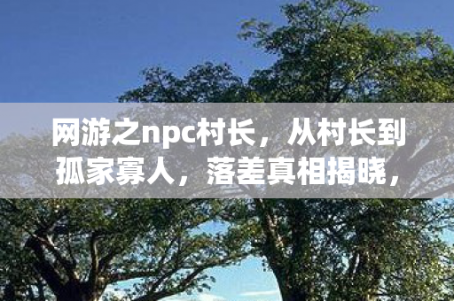 网游之npc村长,从村长到孤家寡人,落差真相揭晓,笑着笑着就哭了 网游之npc村长,从村长到孤家寡人,落差真相揭晓,笑着笑着就哭了