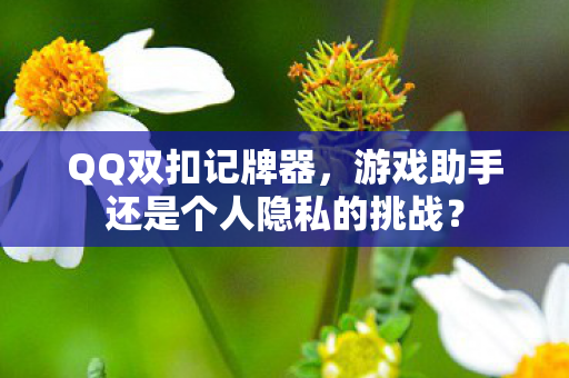 游戏助手还是个人隐私的挑战图片