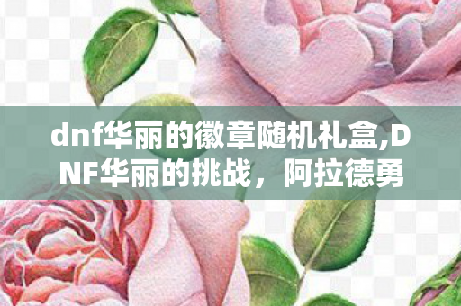dnf华丽的徽章随机礼盒,DNF华丽的挑战,阿拉德勇士专属的操作浪漫 dnf华丽的徽章随机礼盒,DNF华丽的挑战,阿拉德勇士专属的操作浪漫