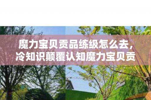 魔力宝贝贡品练级怎么去,冷知识颠覆认知魔力宝贝贡品暗藏玄机,这些设定让你目瞪口呆! 魔力宝贝贡品练级怎么去,冷知识颠覆认知魔力宝贝贡品暗藏玄机,这些设定让你目瞪口呆!