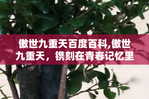 傲世九重天百度百科,傲世九重天,镌刻在青春记忆里的热血江湖长卷 傲世九重天百度百科,傲世九重天,镌刻在青春记忆里的热血江湖长卷