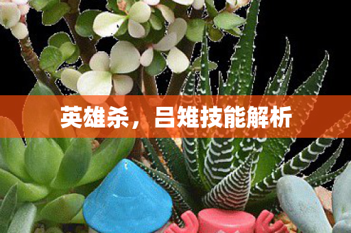吕雉技能解析图片