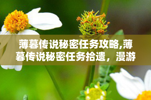 薄暮传说秘密任务攻略,薄暮传说秘密任务拾遗，漫游在帝国余晖里的未竟温柔