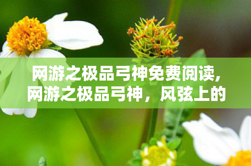网游之极品弓神免费阅读,网游之极品弓神，风弦上的逐光者