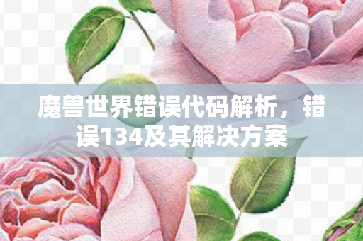 错误134及其解决方案图片
