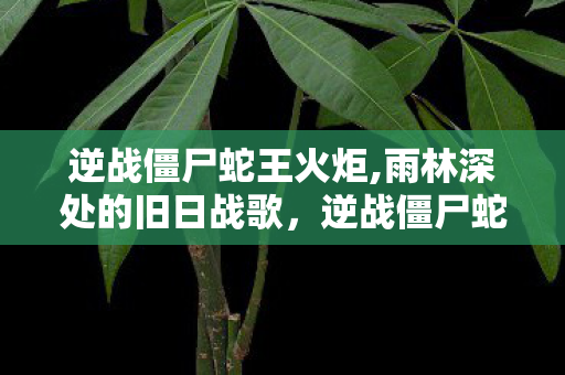 逆战僵尸蛇王火炬,雨林深处的旧日战歌,逆战僵尸蛇王的专属猎场记忆 逆战僵尸蛇王火炬,雨林深处的旧日战歌,逆战僵尸蛇王的专属猎场记忆