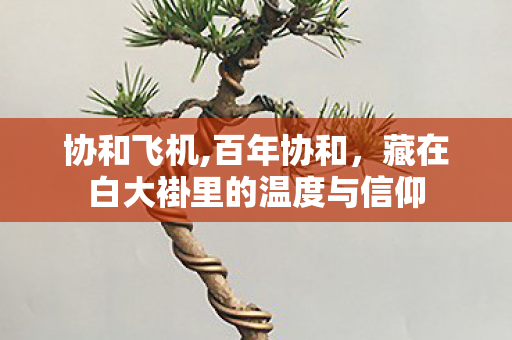 协和飞机,百年协和,藏在白大褂里的温度与信仰 协和飞机,百年协和,藏在白大褂里的温度与信仰