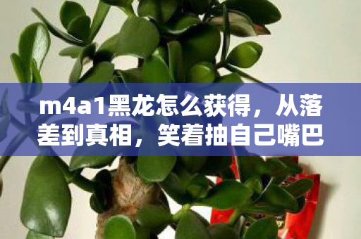 m4a1黑龙怎么获得,从落差到真相,笑着抽自己嘴巴,笑着笑着却哭了——M4A1黑龙的执念 m4a1黑龙怎么获得,从落差到真相,笑着抽自己嘴巴,笑着笑着却哭了——M4A1黑龙的执念