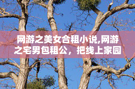 网游之美女合租小说,网游之宅男包租公，把线上家园搬进现实小院