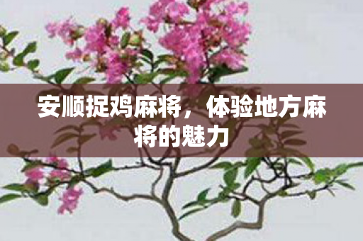 体验地方麻将的魅力图片