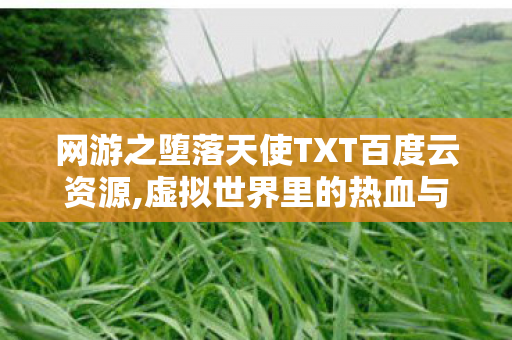 网游之堕落天使TXT百度云资源,虚拟世界里的热血与成长印记