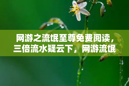 网游之流氓至尊免费阅读，三倍流水疑云下，网游流氓至尊的繁荣竟让百万玩家心寒！