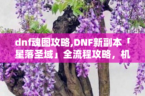 dnf魂图攻略,DNF新副本「星落圣域」全流程攻略，机制拆解+速通技巧，全梯队玩家轻松通关