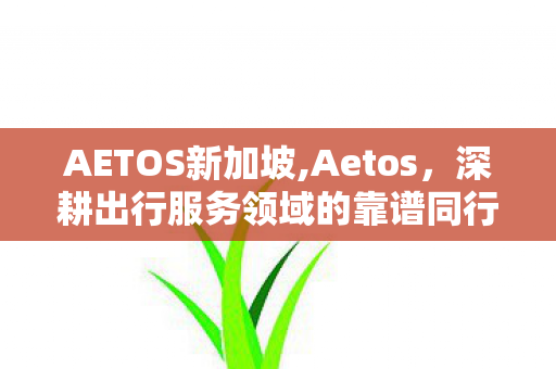 AETOS新加坡,Aetos，深耕出行服务领域的靠谱同行者