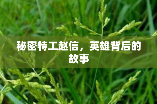 英雄背后的故事图片