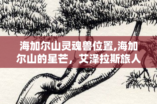 海加尔山灵魂兽位置,海加尔山的星芒,艾泽拉斯旅人的灵魂兽旧忆 海加尔山灵魂兽位置,海加尔山的星芒,艾泽拉斯旅人的灵魂兽旧忆