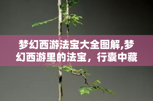 梦幻西游法宝大全图解,梦幻西游里的法宝,行囊中藏着的江湖旧梦 梦幻西游法宝大全图解,梦幻西游里的法宝,行囊中藏着的江湖旧梦