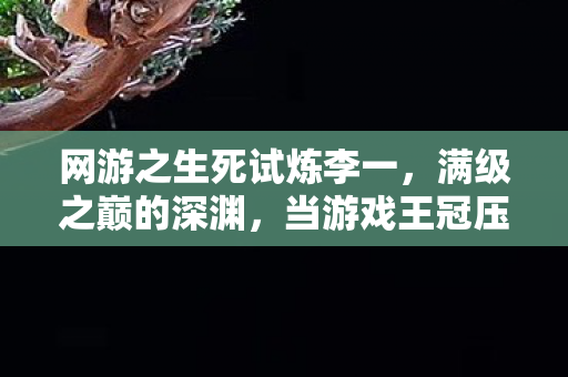 网游之生死试炼李一，满级之巅的深渊，当游戏王冠压碎现实脊梁