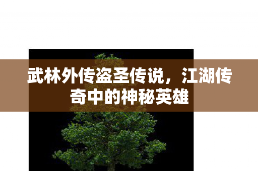 江湖传奇中的神秘英雄图片