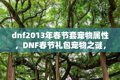 dnf2013年春节套宠物属性，DNF春节礼包宠物之谜，线索断层下的悬案，毛骨悚然十年未解