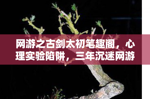 网游之古剑太初笔趣阁，心理实验陷阱，三年沉迷网游之古剑太初，细思极恐的自我囚禁