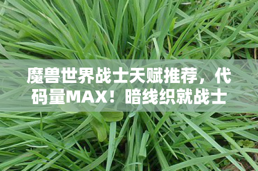 魔兽世界战士天赋推荐，代码量MAX！暗线织就战士魂，头皮发麻的艾泽拉斯生存法则
