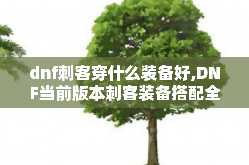 dnf刺客穿什么装备好,DNF当前版本刺客装备搭配全攻略,不同阶段出装思路详解 dnf刺客穿什么装备好,DNF当前版本刺客装备搭配全攻略,不同阶段出装思路详解