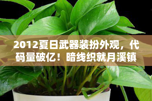 2012夏日武器装扮外观,代码量破亿!暗线织就月溪镇,头皮发麻的武器美学革命 2012夏日武器装扮外观,代码量破亿!暗线织就月溪镇,头皮发麻的武器美学革命