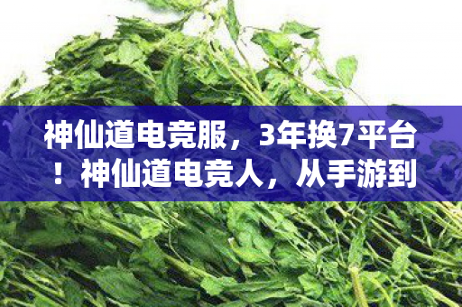 神仙道电竞服，3年换7平台！神仙道电竞人，从手游到主机，谁懂我的辛酸泪？