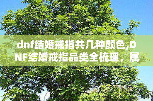 dnf结婚戒指共几种颜色,DNF结婚戒指品类全梳理，属性差异与获取方式详解