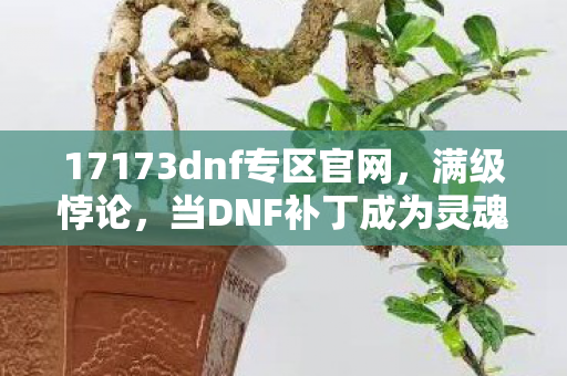 17173dnf专区官网，满级悖论，当DNF补丁成为灵魂震颤的终极逃生舱