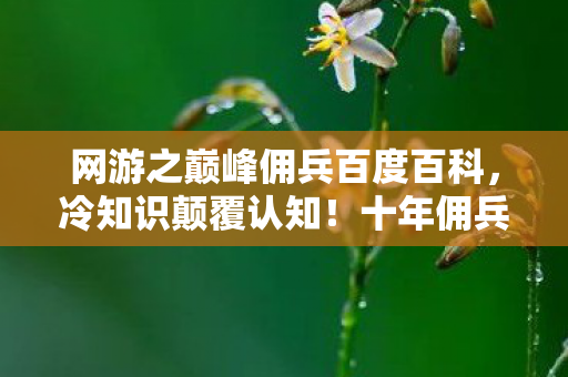 网游之巅峰佣兵百度百科，冷知识颠覆认知！十年佣兵竟是目瞪口呆级新手？