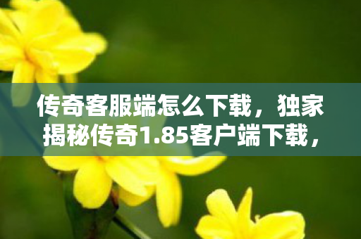 传奇客服端怎么下载，独家揭秘传奇1.85客户端下载，3大心得+避坑指南，玩转经典不踩雷！