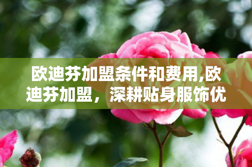 欧迪芬加盟条件和费用,欧迪芬加盟，深耕贴身服饰优质赛道，解锁轻创业全新机遇
