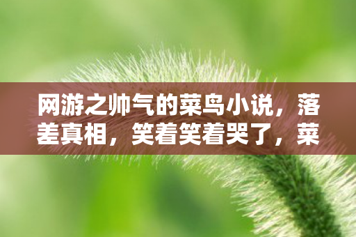 网游之帅气的菜鸟小说，落差真相，笑着笑着哭了，菜鸟的网游逆袭竟成最狠打脸