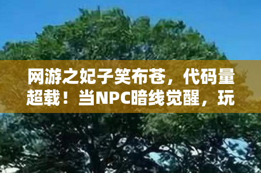 网游之妃子笑布苍,代码量超载!当NPC暗线觉醒,玩家头皮发麻的赛博宫变正在上演 网游之妃子笑布苍,代码量超载!当NPC暗线觉醒,玩家头皮发麻的赛博宫变正在上演