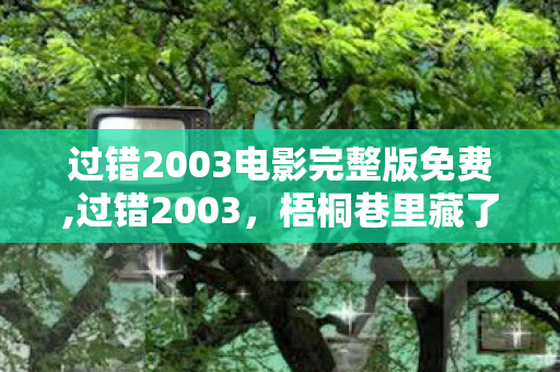 过错2003电影完整版免费,过错2003，梧桐巷里藏了二十年的半段少年心事
