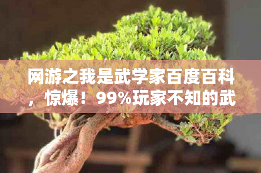 网游之我是武学家百度百科,惊爆!99%玩家不知的武学秘境,我竟一夜封神! 网游之我是武学家百度百科,惊爆!99%玩家不知的武学秘境,我竟一夜封神!