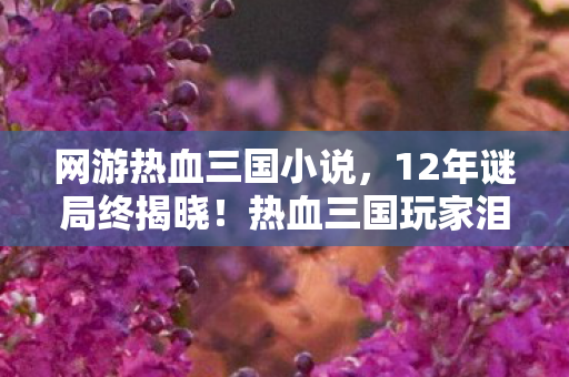 网游热血三国小说，12年谜局终揭晓！热血三国玩家泪目，那些消失的ID去了哪？