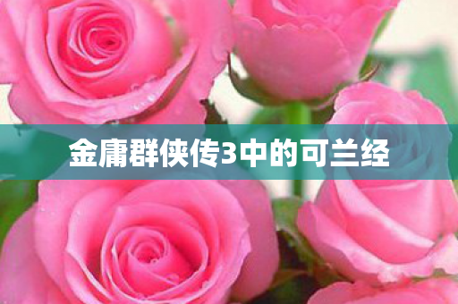 金庸群侠传3中的可兰经图片