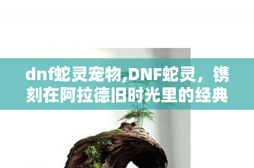 dnf蛇灵宠物,DNF蛇灵,镌刻在阿拉德旧时光里的经典怪物印记 dnf蛇灵宠物,DNF蛇灵,镌刻在阿拉德旧时光里的经典怪物印记