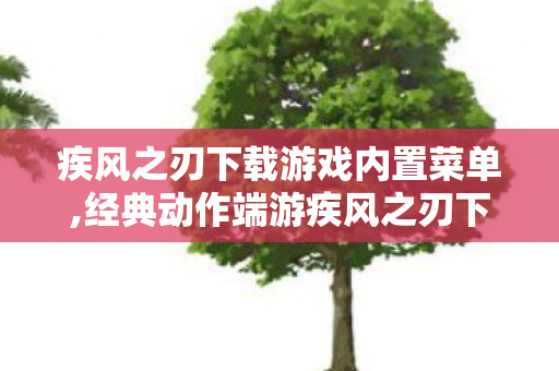 疾风之刃下载游戏内置菜单,经典动作端游疾风之刃下载指南，重回燃爽次元格斗世界