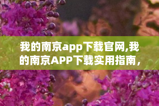 我的南京app下载官网,我的南京APP下载实用指南，一键畅享金陵智慧民生服务